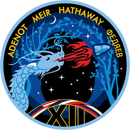 Mission patch Crew-12